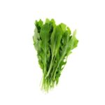 Roquette-Arugula-Rucula