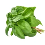 BASIL LEAVES