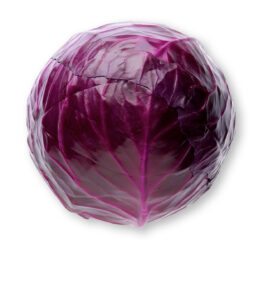 Red Cabbage