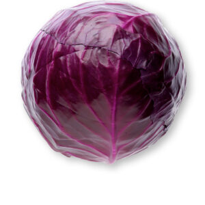 Red Cabbage