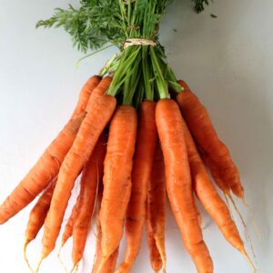 CARROTS ORANGE