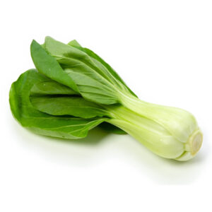 BOK CHOY