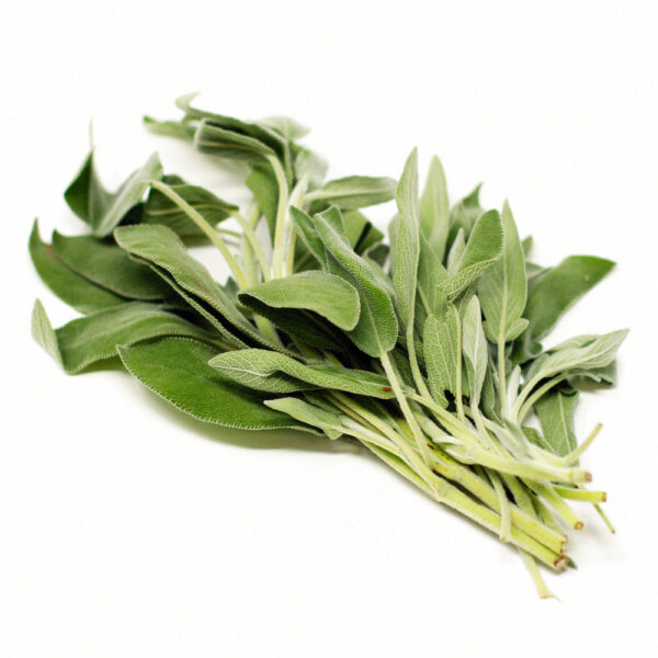 SAGE FRESH
