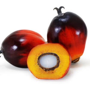 palm fruit