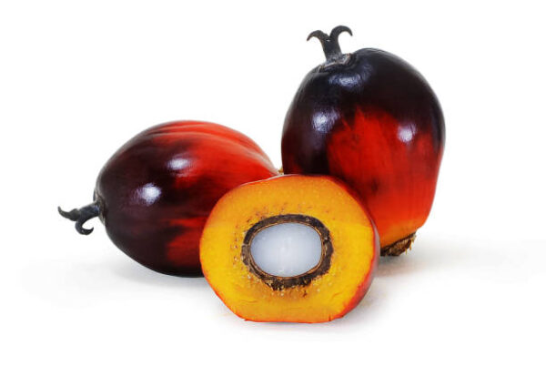 palm fruit