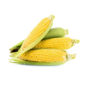 American Corn