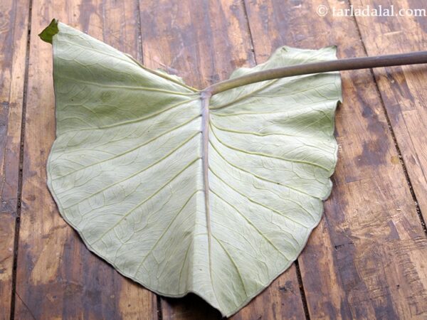 ADVI LEAVES ( PATRA