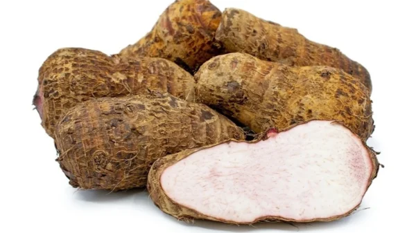 ARBI ALOO