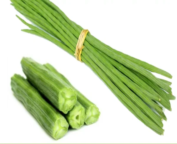DRUM STICK