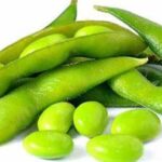 EDAMAME FRESH