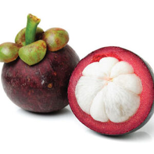 MANGOSTEEN