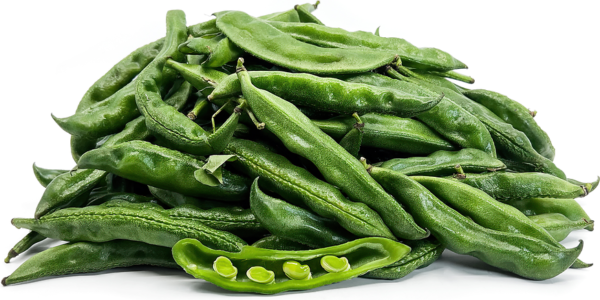 PAPDI BEANS