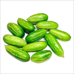 POINTED GOURD PARVAR