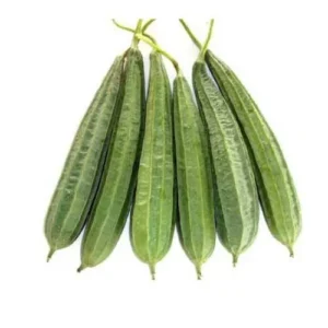 ridge gourd