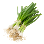 SPRING ONION