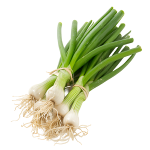 SPRING ONION