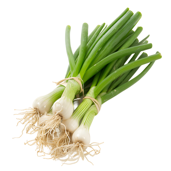SPRING ONION