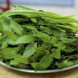 TANDAR BHAJI