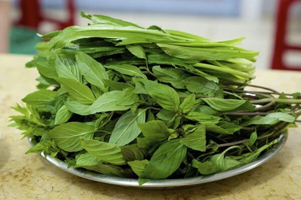 TANDAR BHAJI