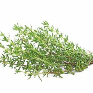 THYME FRESH HERB