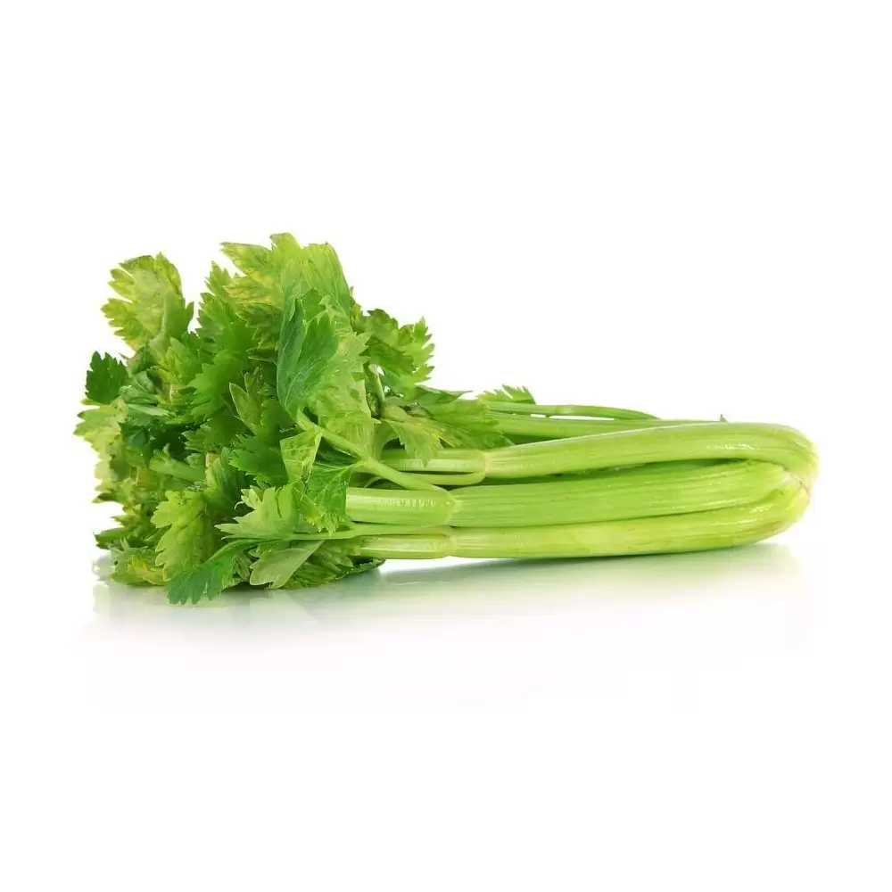 celery-bunch