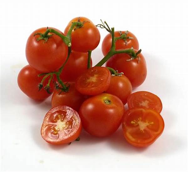 CHERRY TOMATOES