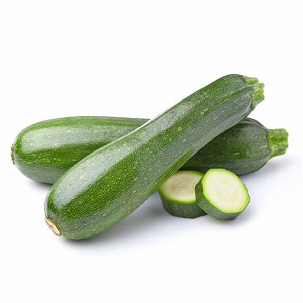 ZUCCHINI